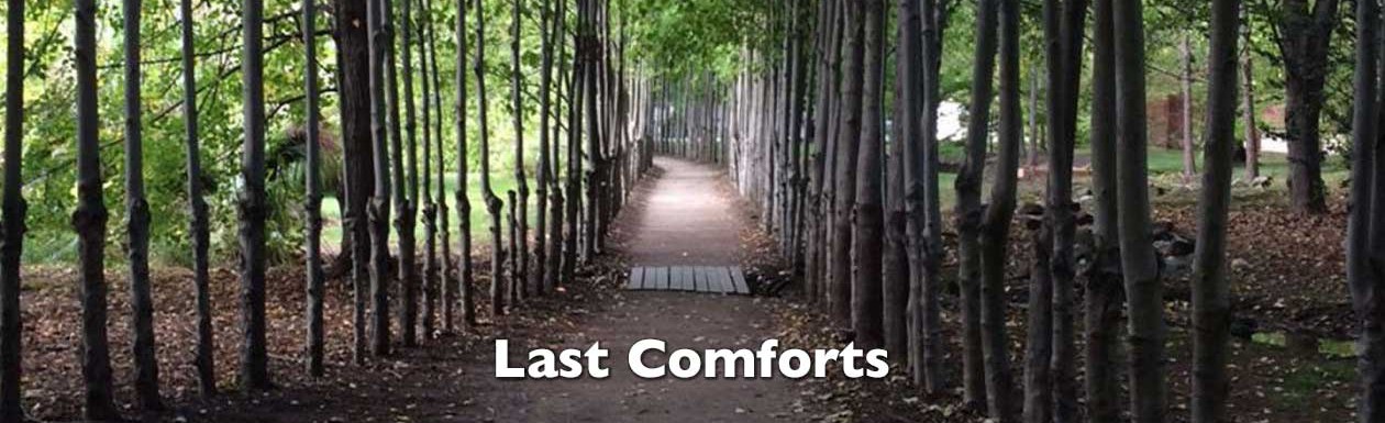 Last Comforts
